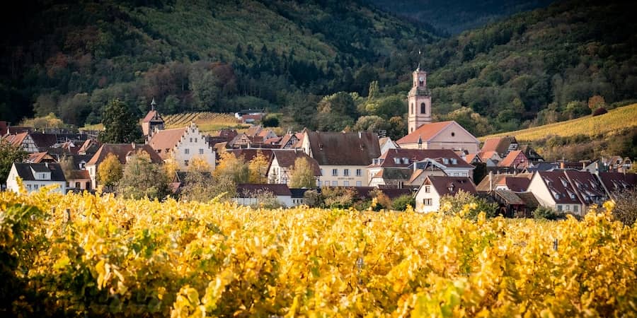 znalec trnava, znalecky posudok trnava cena, odhadca nehnutelnosti trnava